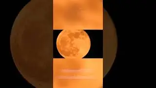 Ay’a Ayak Basılan İlk Yerin Fotoğrafını Çekmek! 