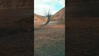🌲кто чайник заметил?