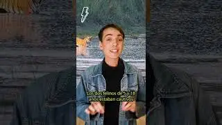 ¡Dos tigres de bengala fueron rescatados en Argentina! Greenpeace Argentina