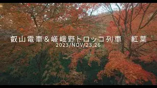 紅葉　叡山鉄道と嵯峨野トロッコ列車　2023秋