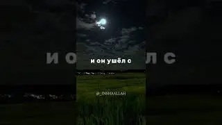 Однажды к Пророку Мухаммаду пришел бедный мужчина и принес чашу с виноградом в подарок!