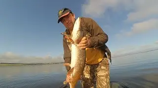 Ловим щуку, окуня и судака на Нижнекамском водохранилище.