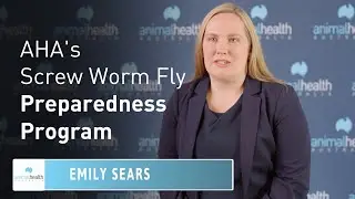 AHA's Screw Worm Fly Preparedness Program 🪰 Animal Health Australia