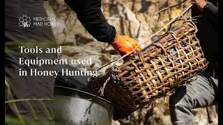 Medicinal Mad Honey: Tools and Equipment used in Honey Hunting