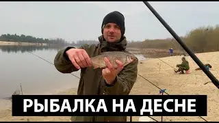 Фидерная рыбалка на Десне. Ловля плотвы. 2021 г.