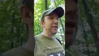 Шойгу смеётся над Белоусовым #россия #путин