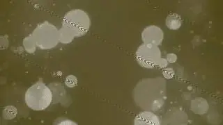 Футаж Ретро с искажением кадра