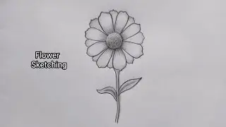 How to sketch a flower step by step॥Flower sketching 
