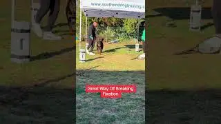 Great Way To Break Fixation 
