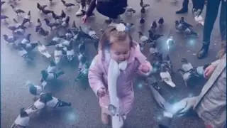 נבחרת ההצלחה של אלון גל!