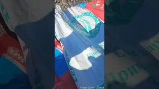 Посев демо кукурузы