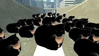 Maxwell Cat Nextbot Gmod Horde!