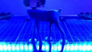 D-Bot Timelapse - Deer