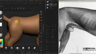 Học zbrush_Năm tuất điêu khắc tượng cún con_Phần 04