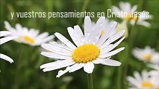 Bendecido Día !