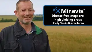 MIRAVIS®: Disease free crops are high yielding crops