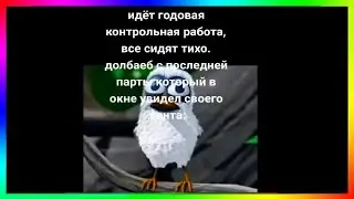 тик ток увидел кента