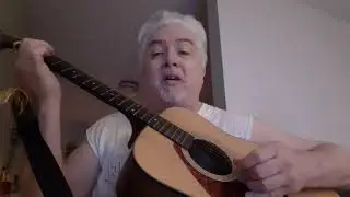 Pontoon cover