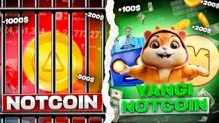 NOTCOINGA O'XSHASH TOP-3 LOYIHA // MONEY MINER