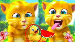 Talking Ginger Cat Funny Video || 🙀🐈😻😹