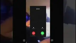баха прикол