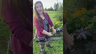 🤣МАЛО МЕСТА #юмор #прикол #шутки #приколы #шутка #смех #смешно #смешноевидео