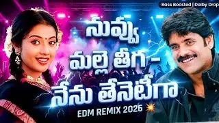 నువ్వు మల్లెతీగ నేను తేనెటీగ 💥 EDM REMIX 2026 | ప్రెసిడెంట్ గారి పెళ్ళాం | Bass Boosted 