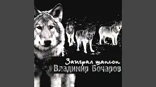 Кругом тайга