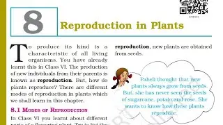 Class 7th l Chapter 8 l Science l Reproduction in plants Explanation  l NCERT l Question Answers