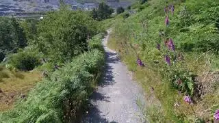 Small piece of Antur Stiniog downhill section.