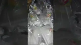 Alhamdulillah || Semoga Barokah