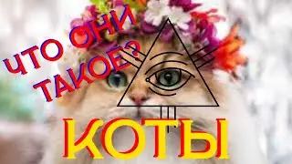 Поставлю всем двойки