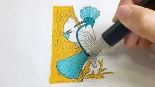 Coloring picture of a bird with a beautiful crest