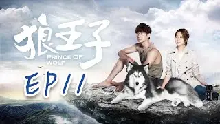 【ENG SUB】Prince of Wolf EP11 #fullepisode #prince #lovestory #drama #romance  #love