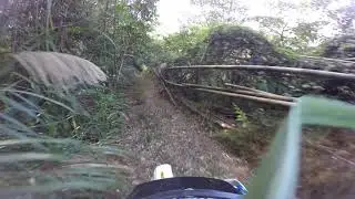 薑母島dr350