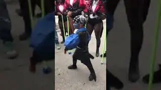 Fantacia de una tradición calife