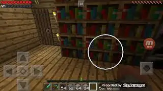 Minecraft №8