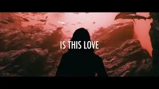 [MV] TERRY / IS THIS LOVE