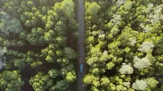 Fitacola - Monstros ft. Tiago Nogueira