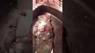 быстрый бумеранг. на врагов ( сделали _ получайте).