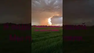 #советы #отношения #смешныевидео #любовь