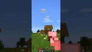 Normal Day In Ohio Minecrft #shorts