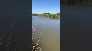 5 мая рыбалка на дгк х Лебеди Краснодарский край