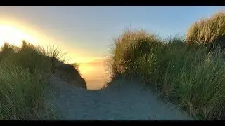 Gift from the Sea, Kate Moody