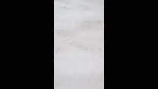 В Новосибирске многонациональный 