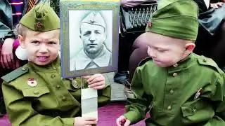 День белых журавлей