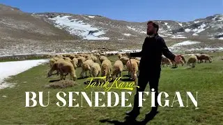 Tarık Kara _ Bu Sene de Figan Düştü Dağlara ( BOZLAK )