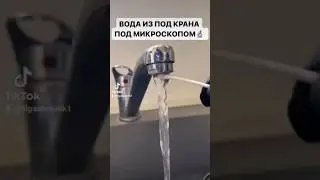 Пьёте воду из-под крана? Вода из-под крана под микроскопом