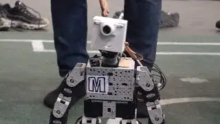 Humanoid robot soccer fun