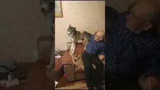 Рей отжимает трон у деда!